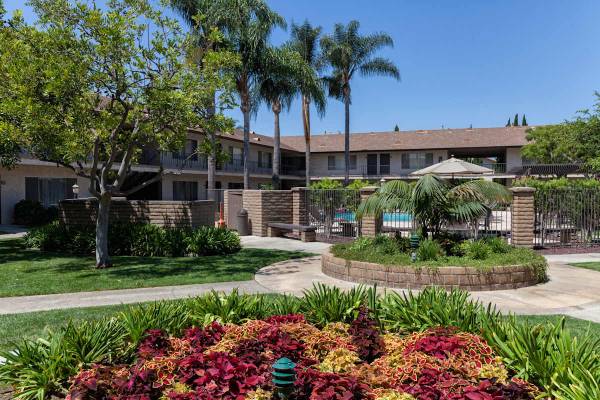 Spacious Closets, On-Site Laundry Facilities, Private Patios 1