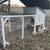 Chicken coop and run 4 thumbnail