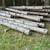 Red pine logs 1 thumbnail