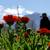 Colorado Dream Retreat: 20 Acres, Privacy, Stunning Mountain Views 13 thumbnail
