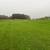 LAND FOR SALE 3 thumbnail
