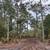*** OFF GRID LOT *** .25 Acres / Cleared/ MH Ready 7 thumbnail
