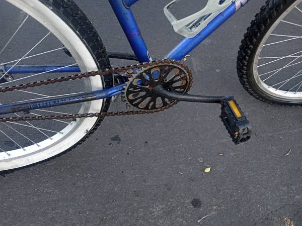 Custom Made Burning Man Cruiser Bike + Basket! - $125 (Richmond / Deliver to Richmond BART?)63471255335683123