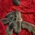 Cane Corso puppies 2 thumbnail