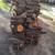 Firewood 1 thumbnail