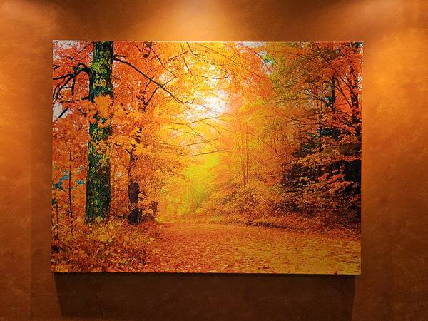 Canvas Print - Fall Autumn 1