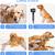 MRY Dog Grooming Clippers Lightweight Dog Hair Scissors, Low Noise, wi 7 thumbnail