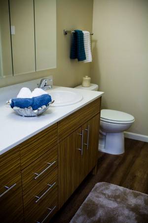 $1,550 / 1br - 804ft2 - 🌟 The Savoy at Lake City: 55+ Senior Community - Loft Apartment🎁63934162581634124