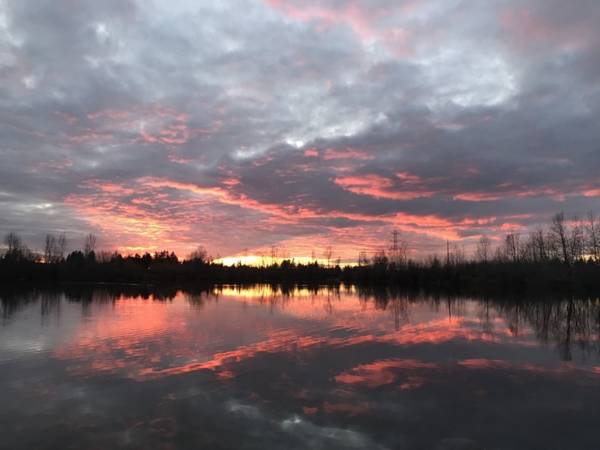 $700 Off Your Dream One Bedroom - Cozy Lakefront Community! 1