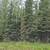 1.05 Acre lot on Brown's Lake Rd 2 thumbnail