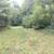 23 acre paradise for sale 19 thumbnail