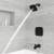 PFISTER MATTE BLACK SHOWER SET - ALLNEW 2 thumbnail