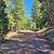 /mo. 0.9 Acres CA Mountain Land – Live Off-Grid Your Way! 1 thumbnail