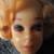 1959 Barbie Doll 1 thumbnail