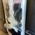 Appliances VA, Samsung 4-Door French Refrigerator, Starting at 5 thumbnail