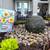 Koi Ponds, Waterfalls, Fountains, Turf, Pavers, Landscape 11 thumbnail