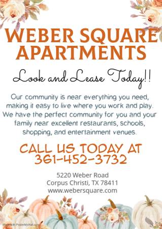 $889 / 490ft2 - Step inside! You’ve reached your refuge from the world. (Corpus Christi)64036541693443120