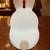 Smoko Milo Corgi  & LumiPets Bunny Ambient Lights or Night Lights 10 thumbnail