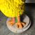1970s Big Bird Sesame Street Lamp 7 thumbnail