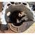 Free, automatic transmission, Chevy, Buick, Olds, Pontiac, ST300 1 thumbnail