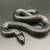 Baby Mexican Black kingsnakes 2 thumbnail