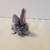 Vintage 1996 Pound Bunnies Bunny Rabbit Gray Baby 4 thumbnail