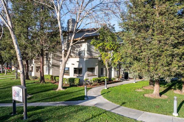 $2,450 / 1br - 709ft2 - Start Fresh with 1 Month Free Rent! (san jose south)63682779342851120
