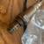 Denso O2 Sensor 234-4797 5 thumbnail