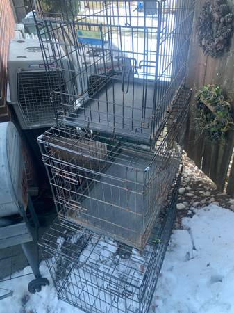 Collapsible double door dog crates 1