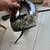 Scorpion helmet 3 thumbnail