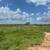 Commercial Land for Sale on Frontage Road US 59 7 thumbnail