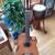 Cordoba C5-CE Cedar/Mahogany Hybrid Nylon Classical Guitar 3 thumbnail