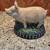 Cute Ceramic Pig 1 thumbnail