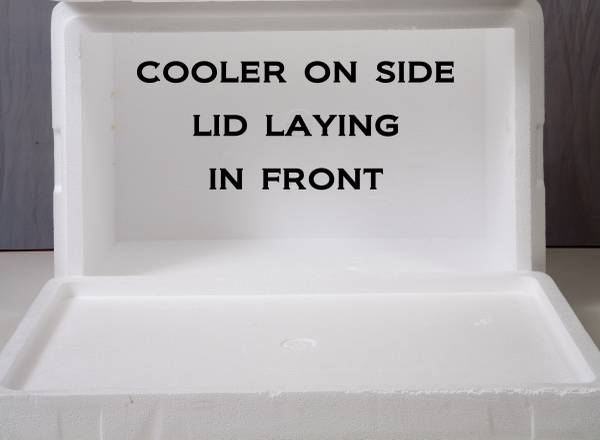 Styrofoam Cooler - $20 (wenatchee)63437223177091122