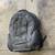 Tenba Shootout Large Camera Backpack Bag 2 thumbnail