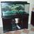 75 GALLON AQUARIUM WITH STAND 2 thumbnail