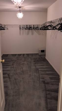$1,100 / 1br - 1100ft2 - 1 bed 1bath apt in Hamilton Sept 1st (Hamilton)63676291310211123