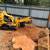 Tree cutting services 7 thumbnail