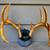 Rustic Antler Mounts - Set of 4 for Cabin/Den Decor 2 thumbnail