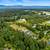 Turn-Key Multi-Generational Estate on 5 acres in Langley! 8 thumbnail