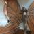 Vintage Stained Glass Suncatchers 15 thumbnail