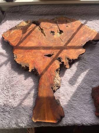 Sanded madrone burl slab