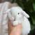 Holland Lop Bunny Rabbit 4 thumbnail