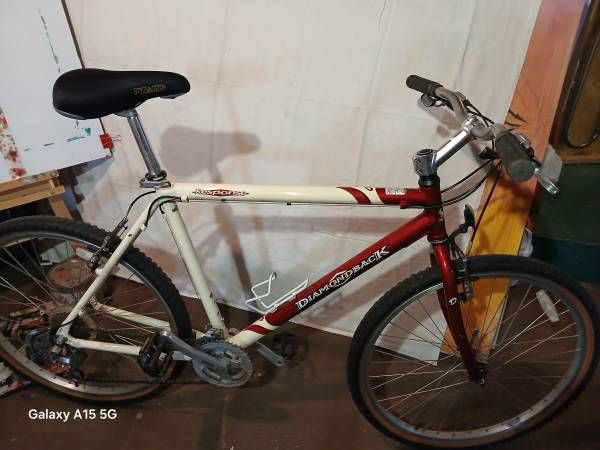 Diamondback Response 1