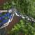 Thule 961XT Speedway 2-bike carrier rear mount 4 thumbnail