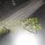 WelleCo Super Elixir Daily Greens Pineapple/Lime 10.5oz 8 thumbnail