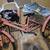 Pink bike for teens or adult 2 thumbnail