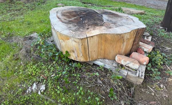 Old Redwood Round $40 1