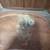 Vintage Wood High Chair 5 thumbnail