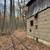 Excellent wooded property, mature hardwood timber! 13 thumbnail